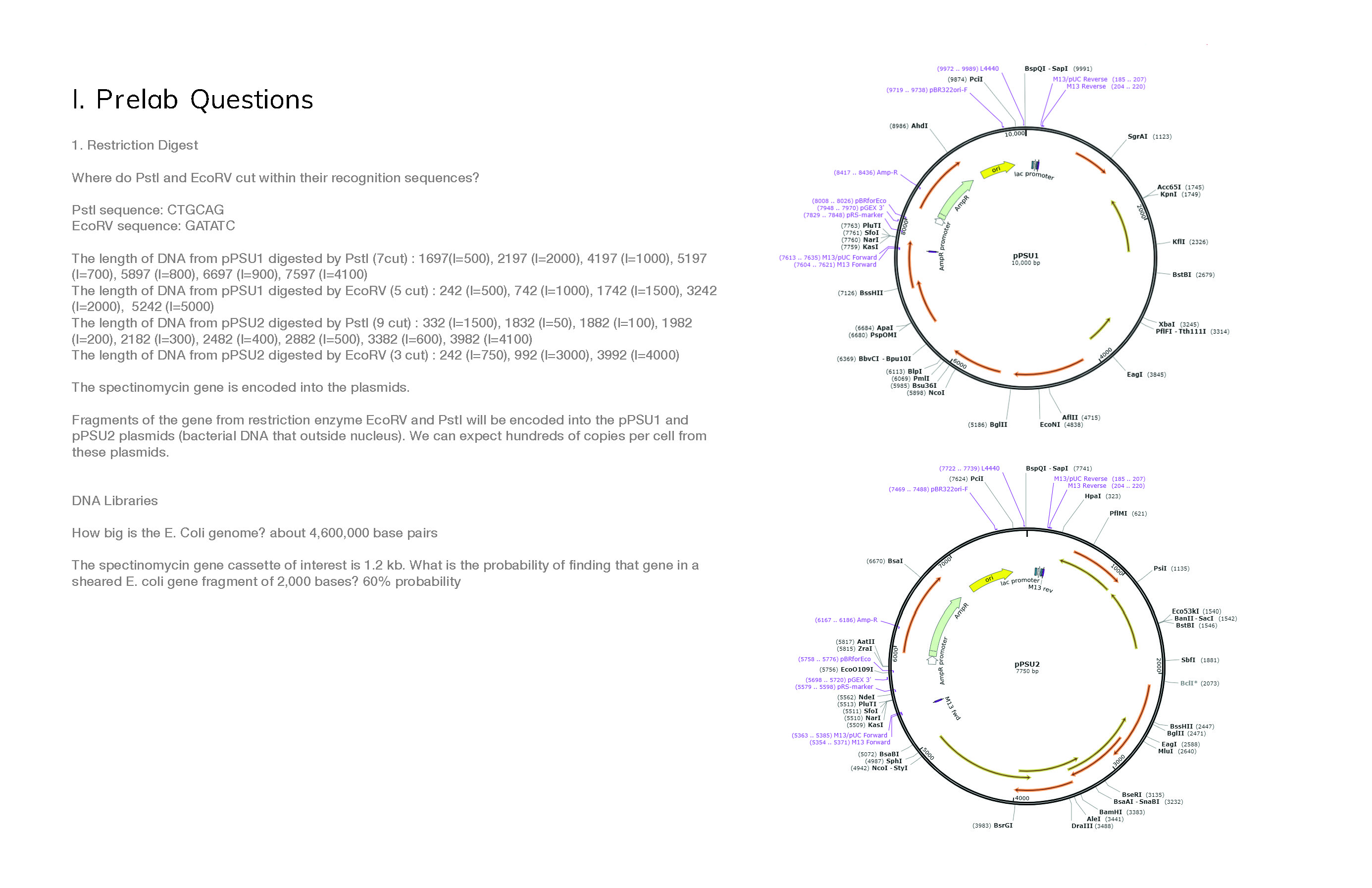 Homework page 1